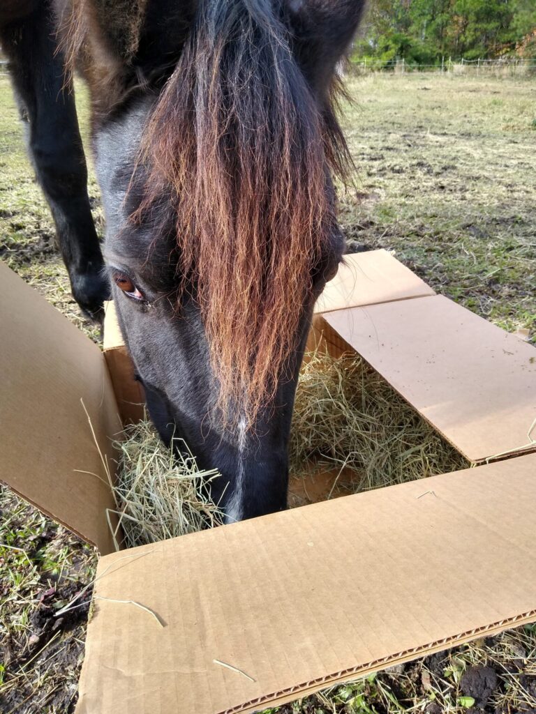 Чтобы лошади ели не картонные коробки